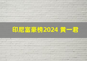 印尼富豪榜2024 黄一君